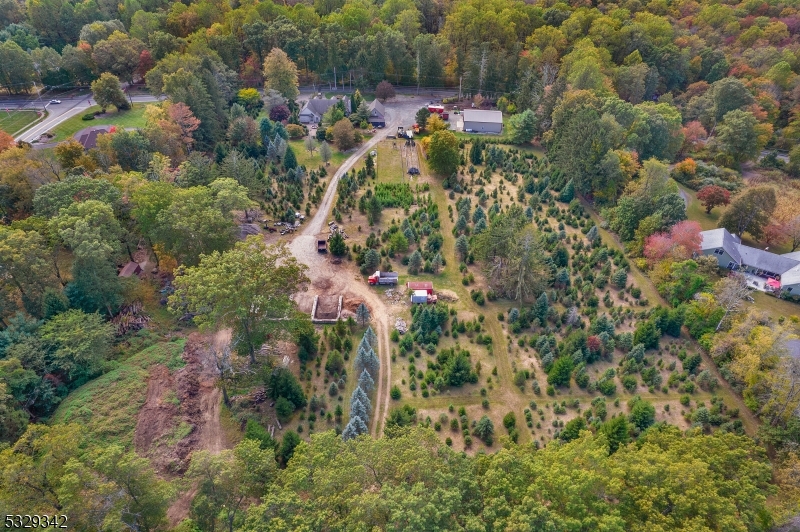 AERIAL VIEW FROM THE BACK