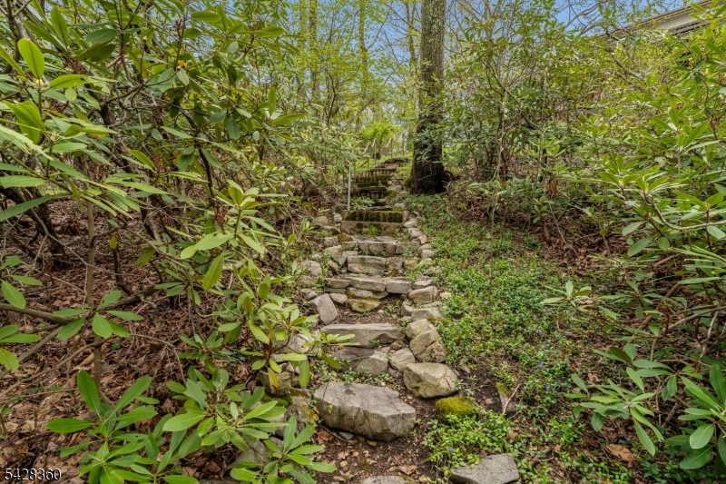 Stairs to the Lake