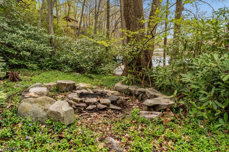Firepit Area