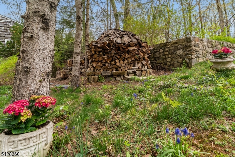 Wood for Fireplace