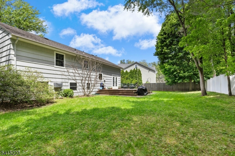 Expansive Rear Yard