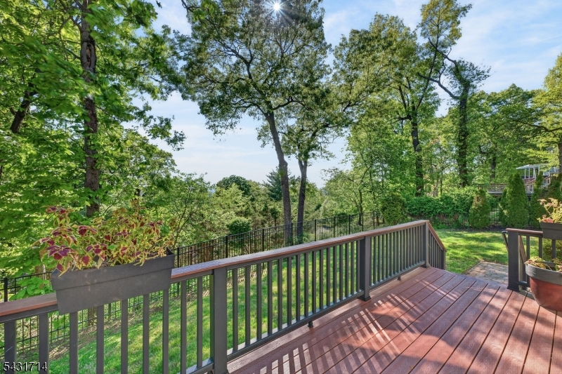 Back Deck