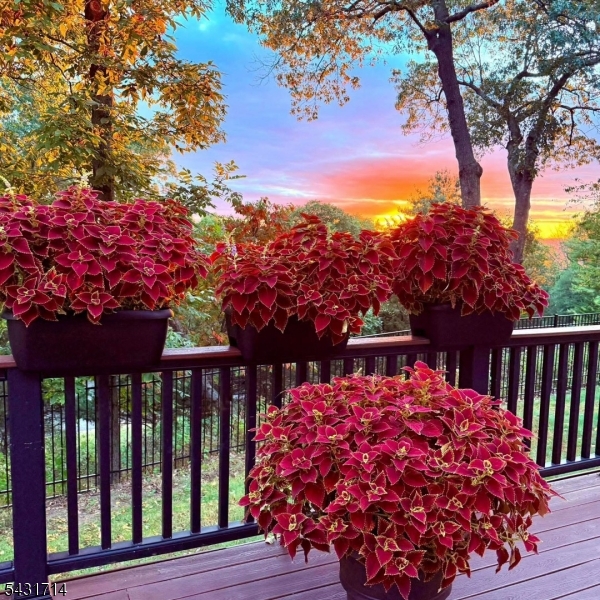 Sunset Taken By Owner