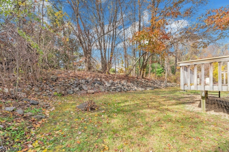 Spacious yard