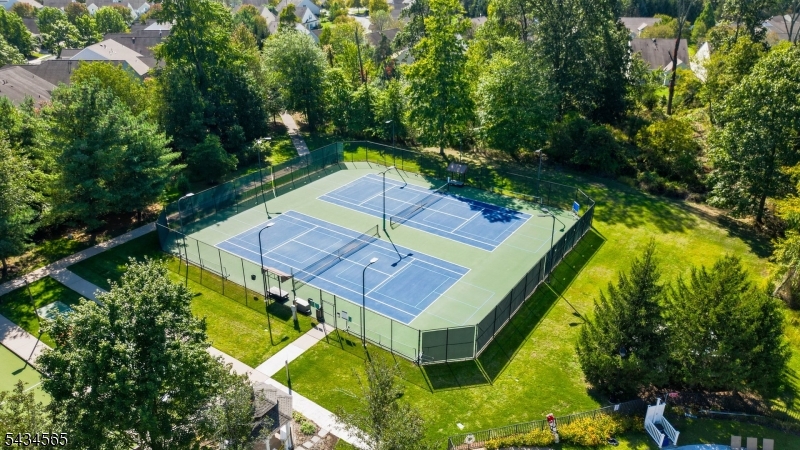 Multi-purpose Court