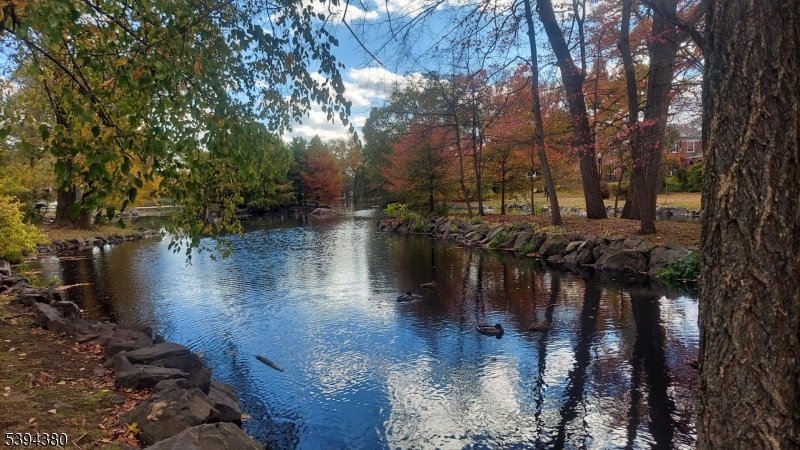 Mindowaskin Park