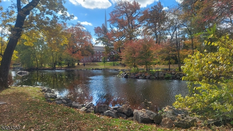 Mindowaskin Park
