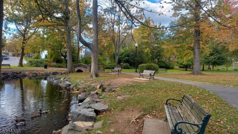 Mindowaskin Park