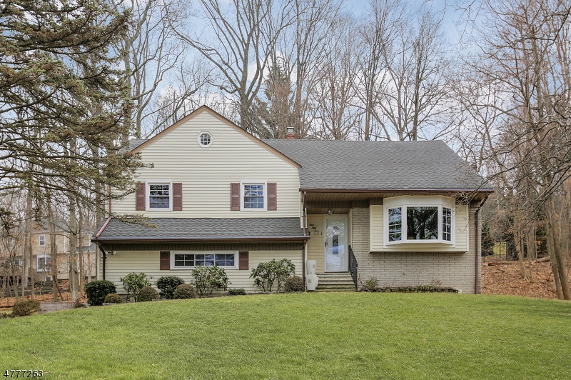 253 Southgate Rd, New Providence, NJ 07974 Sue Adler, Realtor